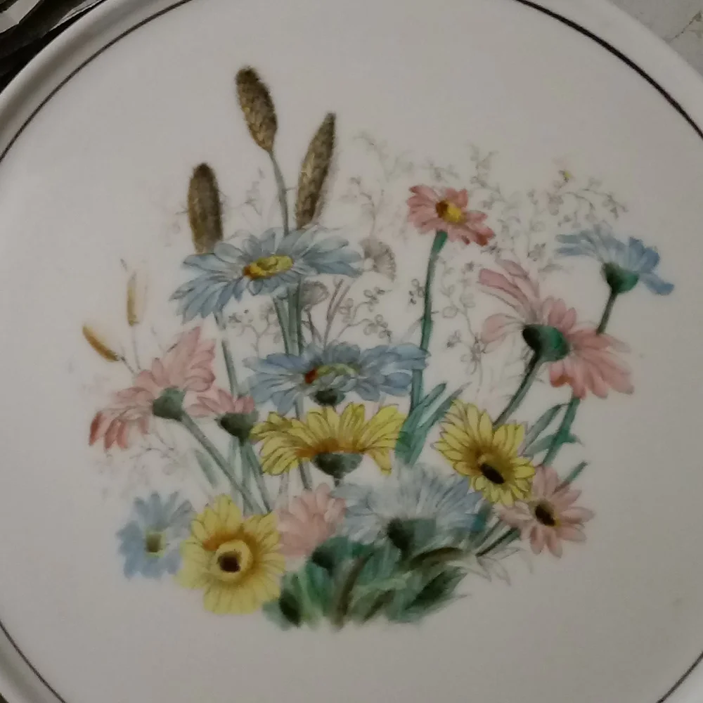 Vintage Hand Painted Milk Glass Pedestal Cake Stand Challinor Taylor Co